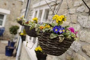 Photo 12- click for photo gallery